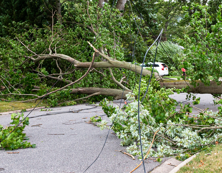 downed power lines image