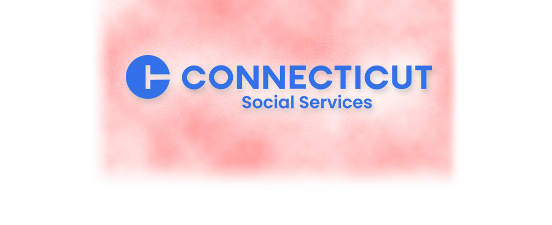 DSS logo photo