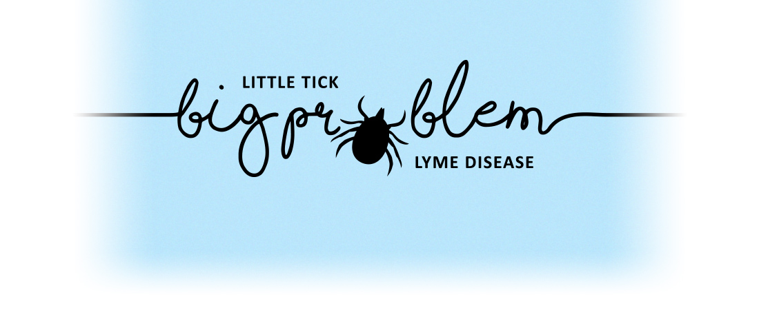Tick and Lyme disease image